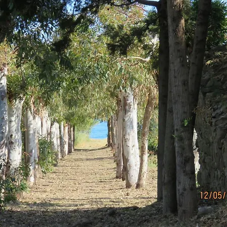 Casa Verdemare צ'פאלו