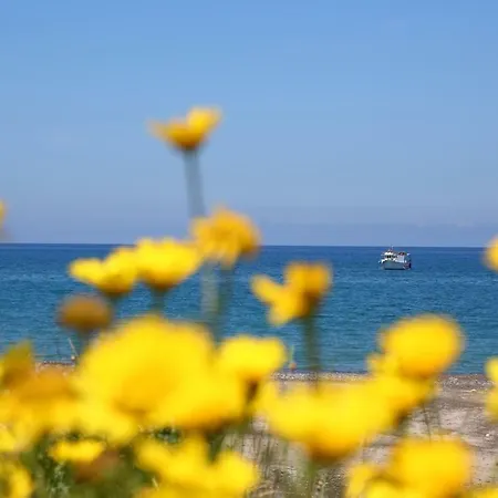 Casa Verdemare צ'פאלו